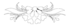 VOLONE