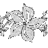 MELANGE IMAGES