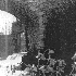 Chapitre 2  -  Le nouveau monde