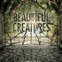 Affiche du film Beautiful Creatures