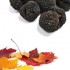 La truffe