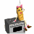 Le rice cooker