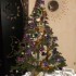 Mon beau sapin roi des forêts