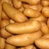 Les Pommes de terre : La Ratte