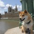 Westminster, Big Ben and the L