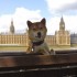 Westminster, Big Ben and the L