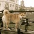 Tower Bridge