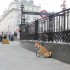 Buckingham Palace, Piccadilly 