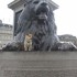 Buckingham Palace, Piccadilly 