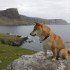 Lady Elee en Ecosse, 1ère par