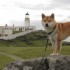 Lady Elee en Ecosse, 1ère par