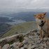 Lady-Elee en Ecosse, 3ème par