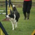 Agility Training avec Sian Ill