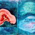 Le livre: Le voyage de Io