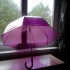 MON PARAPLUIE VIOLET  NATURELL