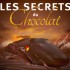 LES SECRETS DU  CHOCOLAT