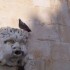 Easter week-end in Dubrovnik (