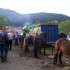 Livestock and horses fair in T