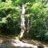 A walk above Fojnica (21st May