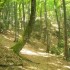 A walk above Fojnica (21st May