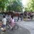 Vrelo Bosne - the springs of t