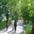 Vrelo Bosne - the springs of t