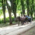 Vrelo Bosne - the springs of t