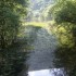 Vrelo Bosne - the springs of t