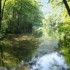 Vrelo Bosne - the springs of t