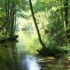 Vrelo Bosne - the springs of t