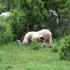 Countryside at Sarajevo's hand