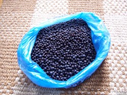 A real 1kg bag of no-blackberries-but-Juniper berries