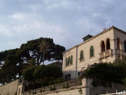 Architecture and vegetation