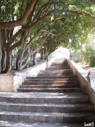 Some up-hill stairs as a starter...