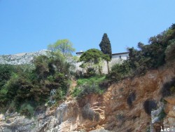 Vegetation above the beach