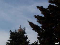 Sea bird at the chapel cross