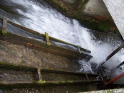 The water activates the turbine for the millstone to move