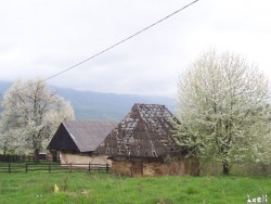 Traditional barn and home