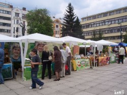 Stands at the Eko-gastro fest