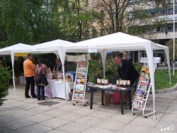 Stands at the Eko-Gastro fest