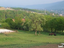 centre équestre Kakrinje