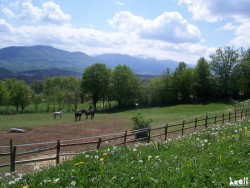 centre équestre Kakrinje