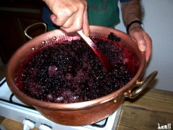 Blueberry jam