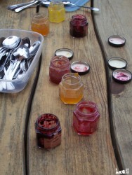 Le Potager Sucré’s jams tasting workshop