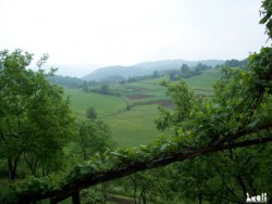 Farms visit for the Producers map project in Fojnica