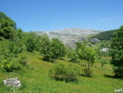 Landscape during our walk to Umoljani