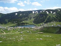 Prokosko Jezero, and free-grazing sheep