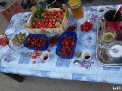 Bosnian hospitality in an other house: home -cherries, -strawberries, -jams, -honey, wild strawberries and Bosnian coffee...