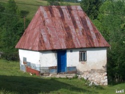 Little traditional house