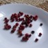 Half-dried "Brusnica" (cranberries)